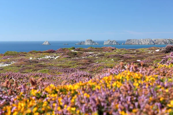 Pointe de Pen-Hir Görünümü