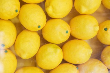 Cam Arkasında Sarı Limon Satırlar.