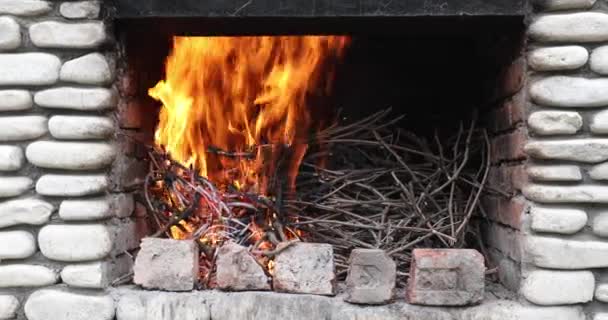 Thin Branches Menyalakan Perapian Sebelum Memasak Grapevine Burns Barbecue Frying — Stok Video