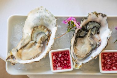 Buzlu taze istiridye, bitkiler, çiçekler ve sirkeyle süslenmiş. Yumuşakça Üzerine Seçici Odaklanma.