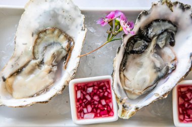 Buzlu taze istiridye, bitkiler, çiçekler ve sirkeyle süslenmiş. Yumuşakça Üzerine Seçici Odaklanma.