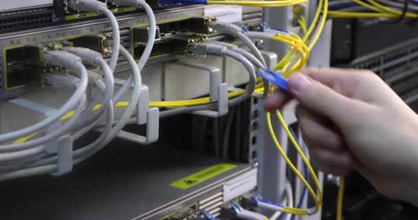 在服务器室工作的网络工程师的手 — 图库视频影像