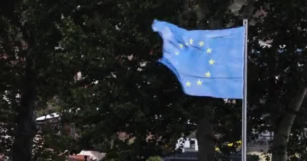 Europeiska unionens flagga flyger framför träd i en stark vind — Stockvideo