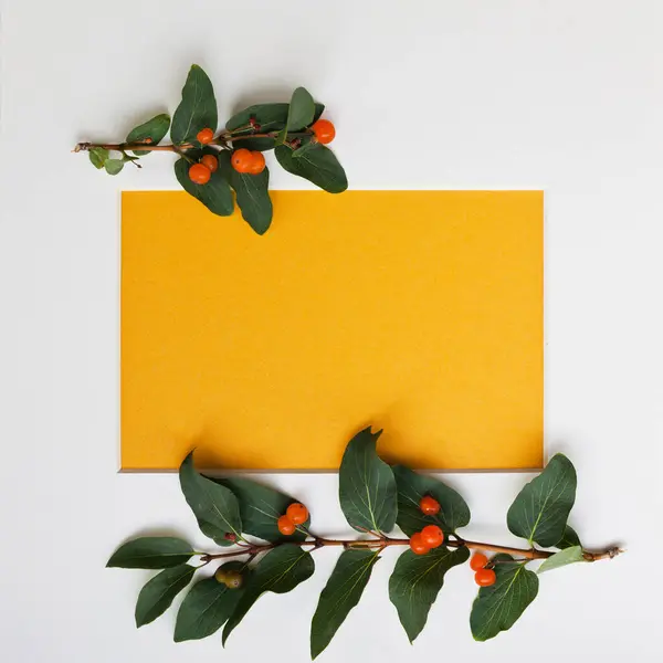 Creative Layout Made Of Branches With Green Leaves And Red Berries, And A Cardboard Frame On Yellow Background Мінімалістична природа, обрамлена поняттям Копіюванням. Стокове Зображення