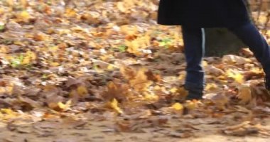 Kadınlar sonbahar parkında yürüyor ve düşen akçaağaç yapraklarını tekmeliyor.