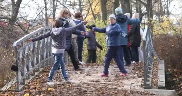 Groep van ouderen doen Gymnastiek Buiten. — Stockvideo