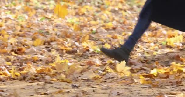 A nők átsétálnak egy őszi parkon, és szétrúgják a lehullott juharfaleveleket. — Stock videók