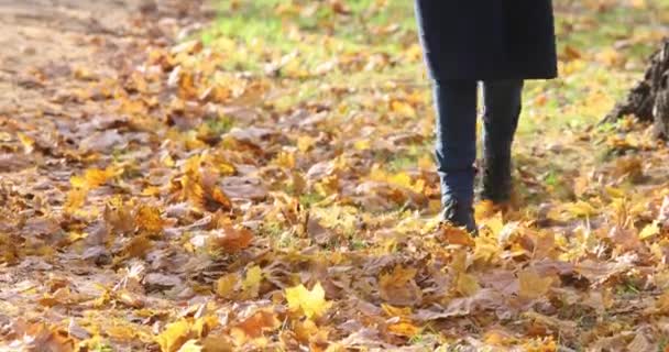 Vrouwen wandelen door een herfst park en trappen gevallen esdoorn bladeren — Stockvideo