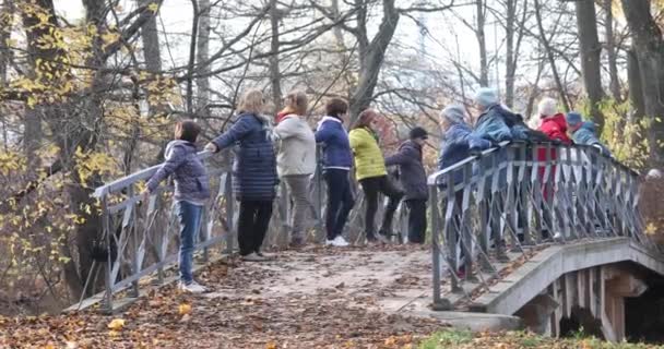 Senioren Männer und Frauen machen Aufwärmübungen im Herbstpark. — Stockvideo