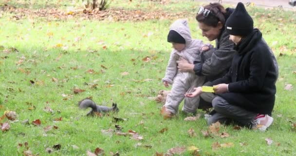 Una giovane donna con due bambini in un parco autunnale che nutre uno scoiattolo rosso — Video Stock