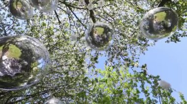 Ağaçlarda asılı helyum gümüş balonları