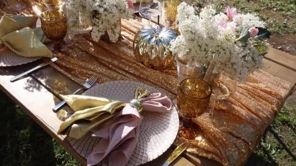 为夏季花园派对摆放装饰好的节日餐桌 — 图库视频影像