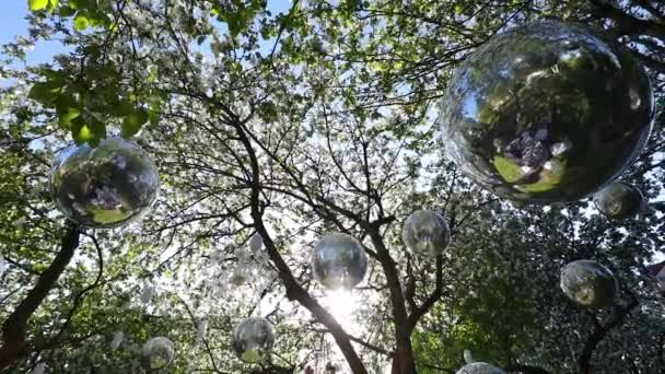 Globos de plata de helio colgando en los árboles — Vídeos de Stock