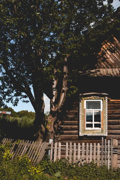 Casa Aldeia Russa Árvore Maçã — Fotografia de Stock