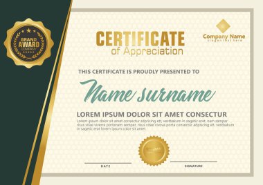 Lüks ve modern desen arka plan ile zarif sertifika şablonu vektör