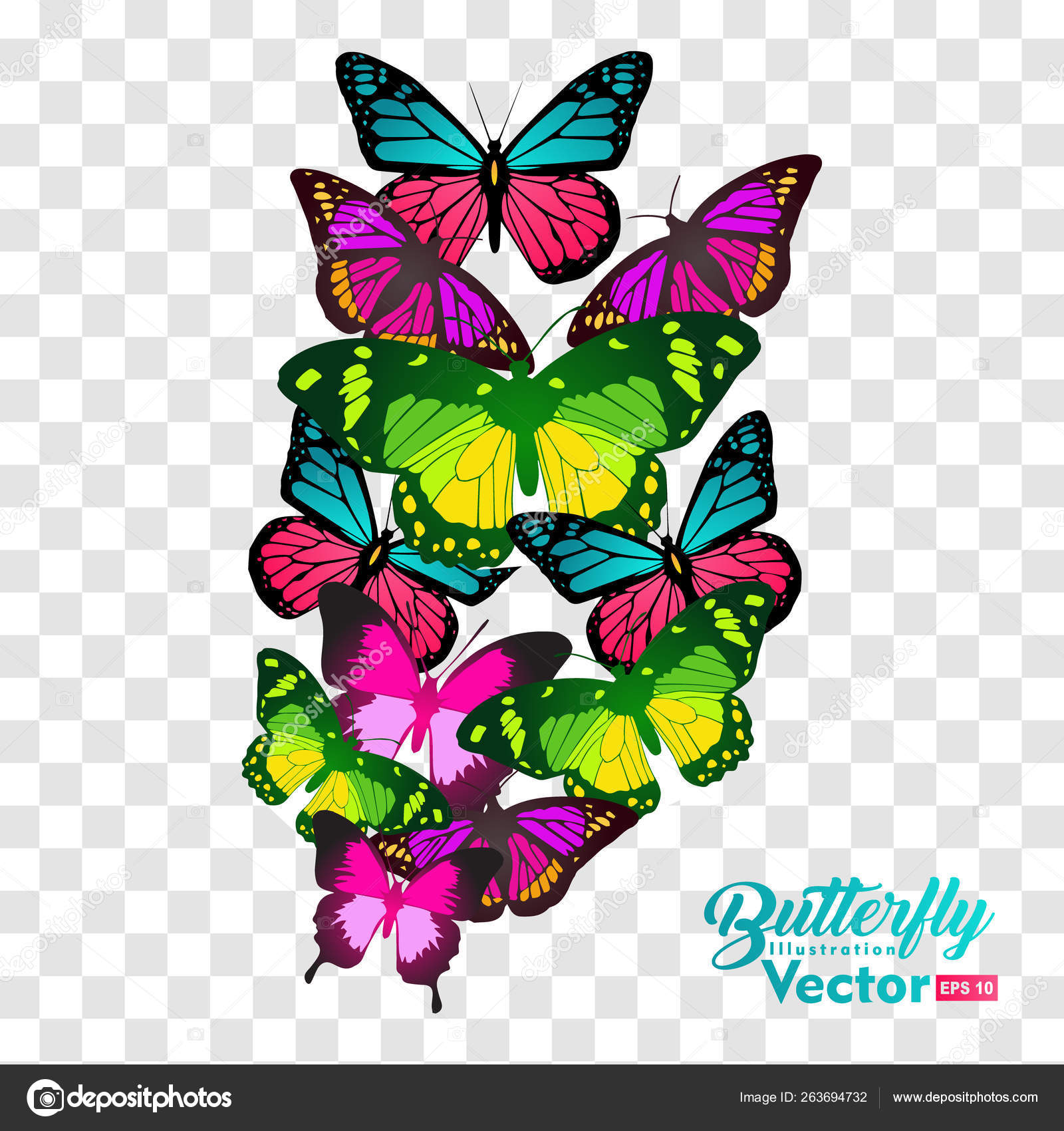 许多蝴蝶飞舞，在透明背景上孤立图库矢量图©vektor art 263694732