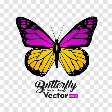 renkli Kelebek illüstrasyon vektör koleksiyonu