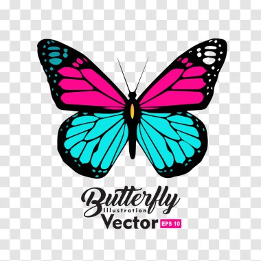 renkli Kelebek illüstrasyon vektör koleksiyonu