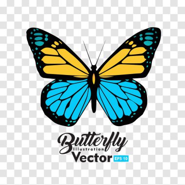 renkli Kelebek illüstrasyon vektör koleksiyonu