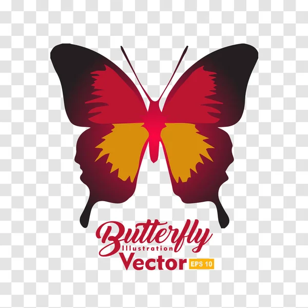 Барвиста ілюстрація метелика Векторна колекція — стоковий вектор