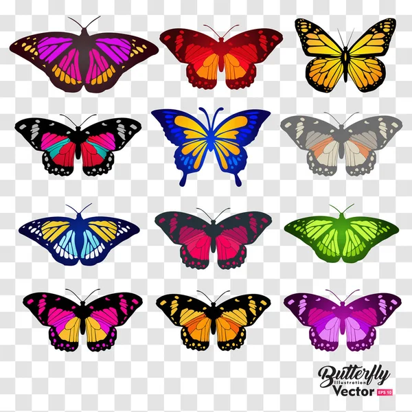 12 Schmetterlinge, isoliert auf transparentem Hintergrund — Stockvektor