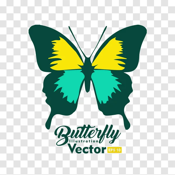Барвиста ілюстрація метелика Векторна колекція — стоковий вектор