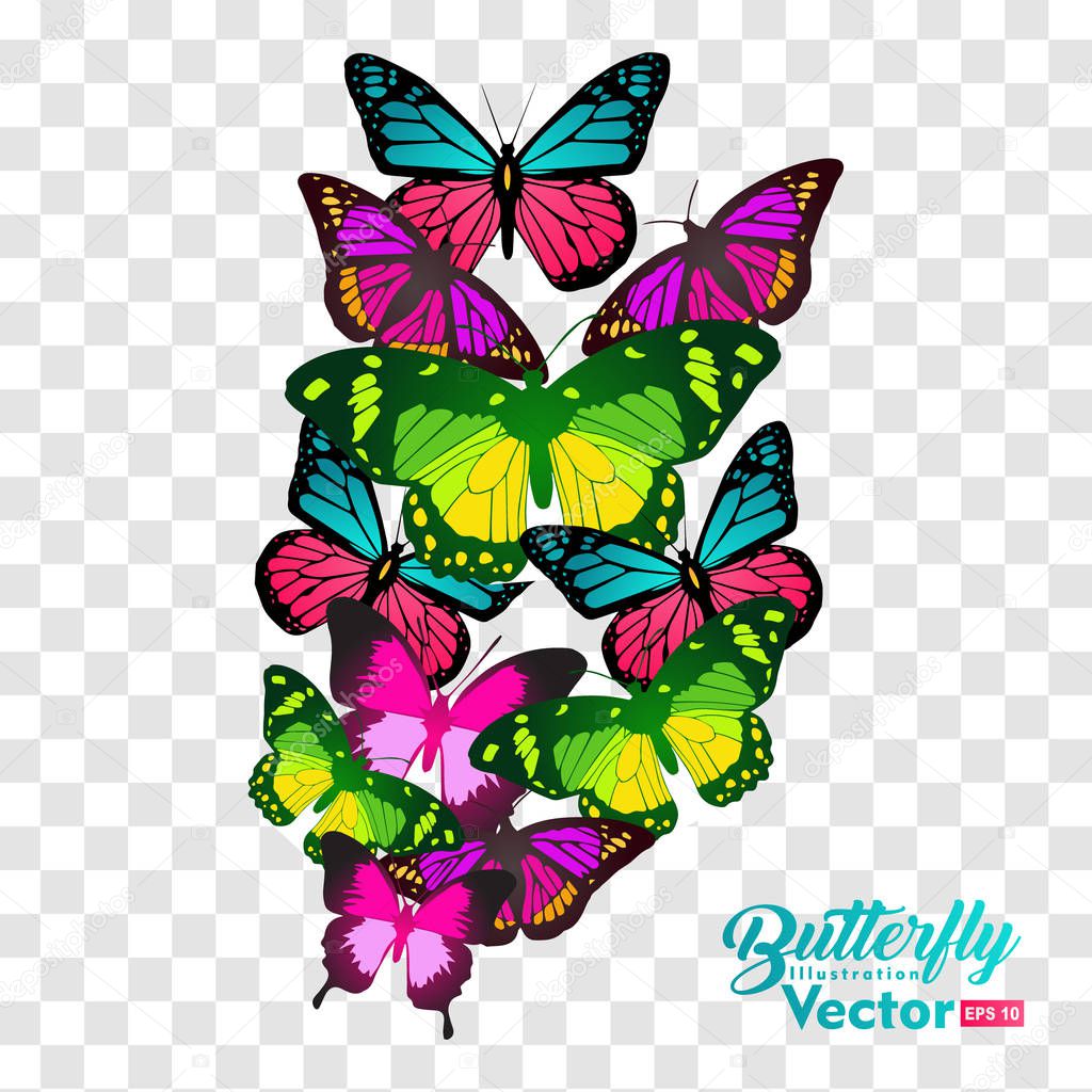 Many butterflies flying, isolated on transparent background