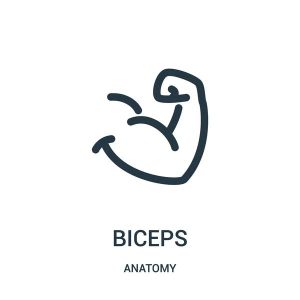 Biceps vector icono de la colección de anatomía. Ilustración de vectores de iconos de contorno de bíceps de línea delgada. Símbolo lineal para su uso en aplicaciones web y móviles, logotipo, medios impresos . — Vector de stock