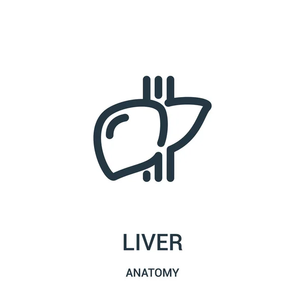 Vector icono del hígado de la colección de anatomía. Ilustración de vector de icono de contorno de hígado de línea delgada. Símbolo lineal para su uso en aplicaciones web y móviles, logotipo, medios impresos . — Vector de stock