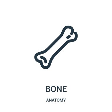 kemik simge vektör anatomi koleksiyonundan. İnce çizgi kemik anahat simgesini vektör çizim. Web ve mobil uygulamalar, logo, baskı ortamı kullanmak için doğrusal sembolü.