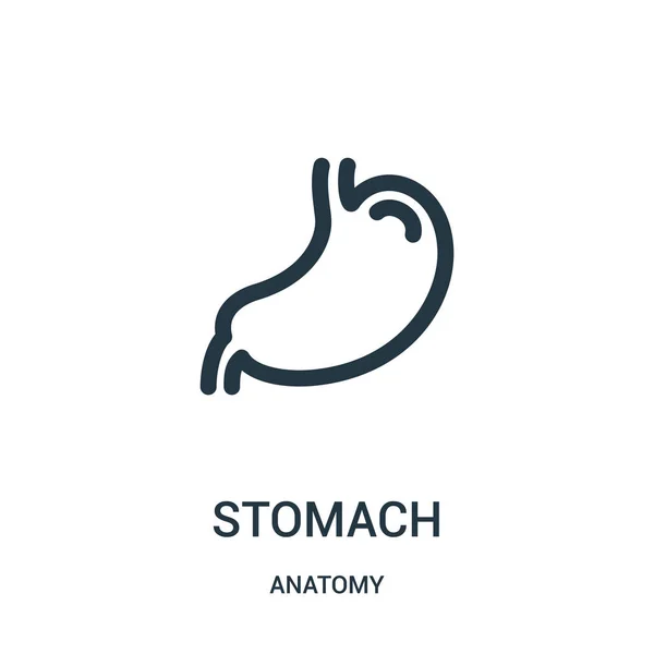 Stomach icon vector from anatomy collection. Thin line stomach outline icon vector illustration. Linear symbol for use on web and mobile apps, logo, print media. — Stock Vector