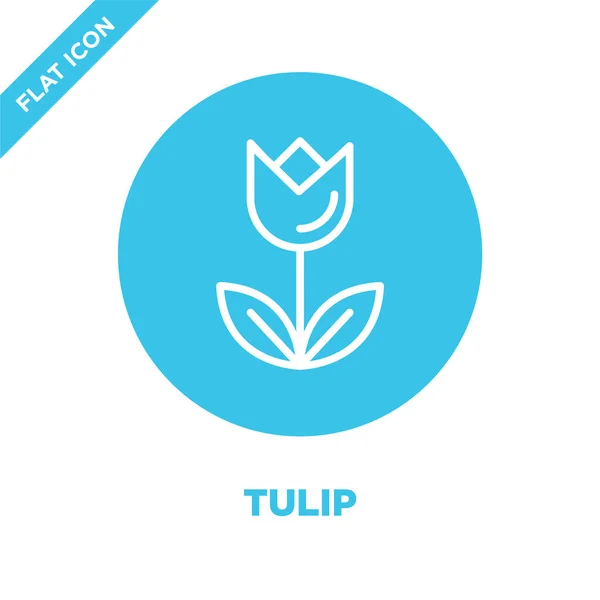 Vector icono de tulipán de la colección temporadas. Línea delgada tulipán contorno icono vector ilustración. Símbolo lineal para su uso en aplicaciones web y móviles, logotipo, medios impresos . — Archivo Imágenes Vectoriales