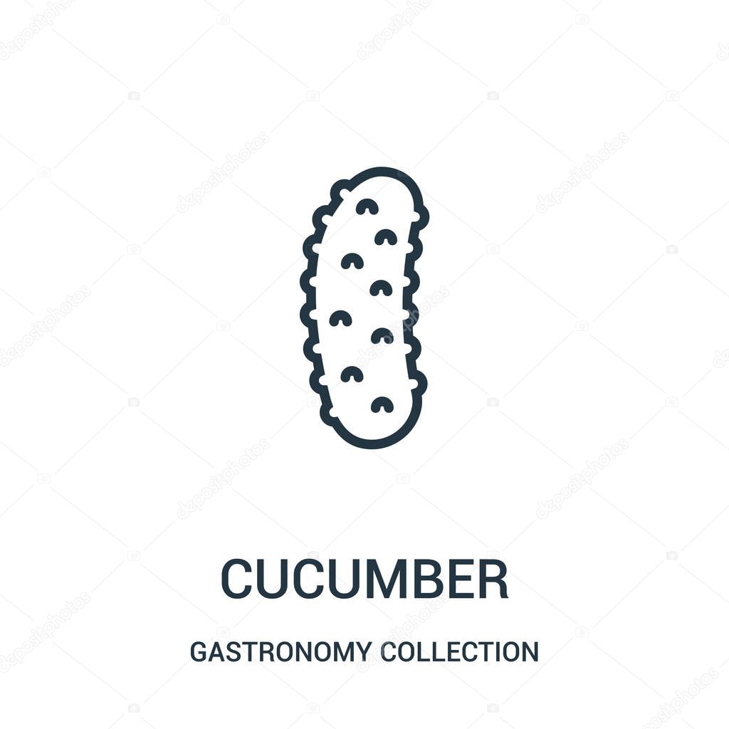 cucumber icon vector from gastronomy collection collection. Thin line cucumber outline icon vector illustration.