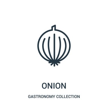 soğan simge vektör Gastronomi koleksiyon koleksiyon. İnce çizgi soğan anahat simgesini vektör çizim.