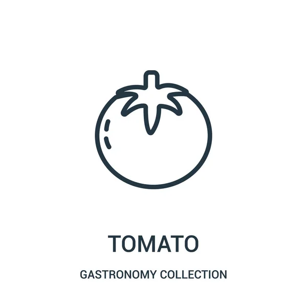 Tomate vetor ícone da coleção de gastronomia. Linha fina tomate esboço ícone vetor ilustração . — Vetor de Stock