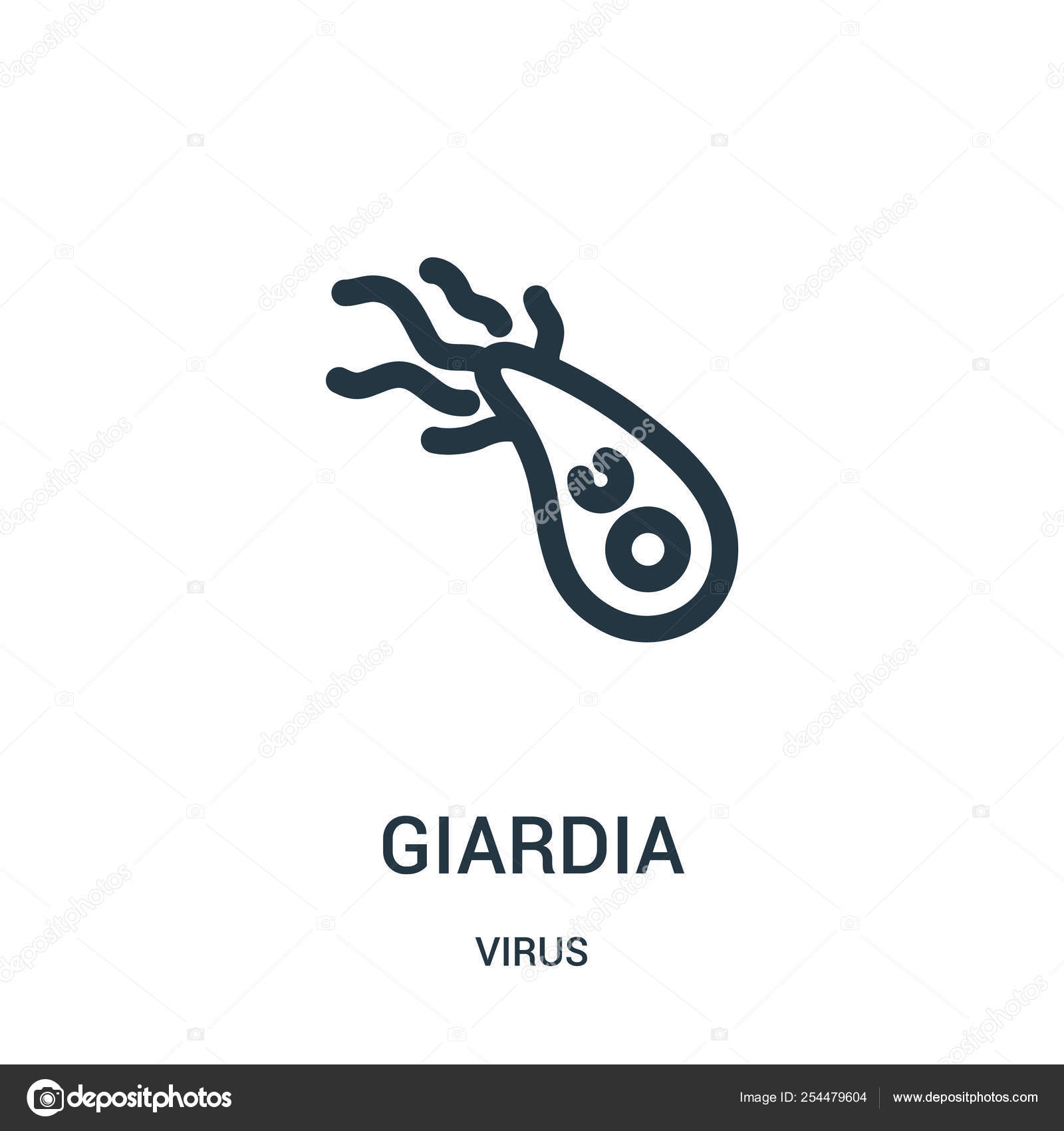 Vector giardia. Simptomele bolii giardiei