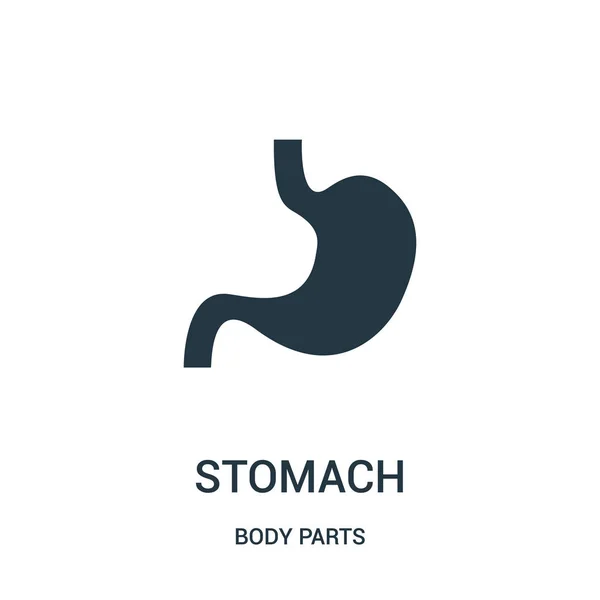 Vector icono del estómago de la colección de partes del cuerpo. Línea delgada estómago contorno icono vector ilustración . — Vector de stock