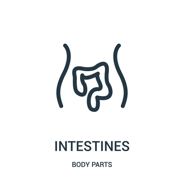 Vector icono de intestinos de la colección de partes del cuerpo. Línea delgada intestinos contorno icono vector ilustración . — Vector de stock