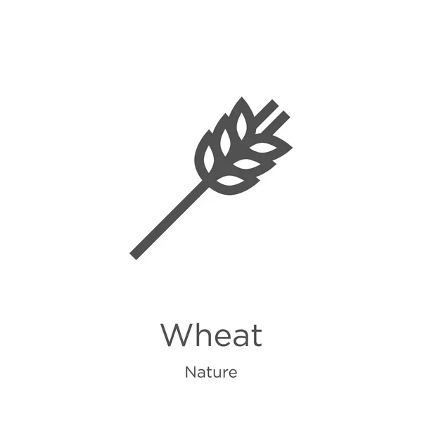 Weizen-Symbolvektor aus der Natur-Sammlung. dünne Linie Weizen umreißt Symbol Vektor Illustration. Umriss, dünne Linie Weizen Symbol für Website-Design und mobile, App-Entwicklung — Stockvektor