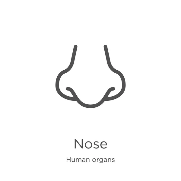 Näsa ikon vektor från mänskliga organ samling. Tunn linje näsa kontur ikon vektor illustration. Kontur, tunn linje näsa ikon för webbdesign och mobil, App utveckling. — Stock vektor