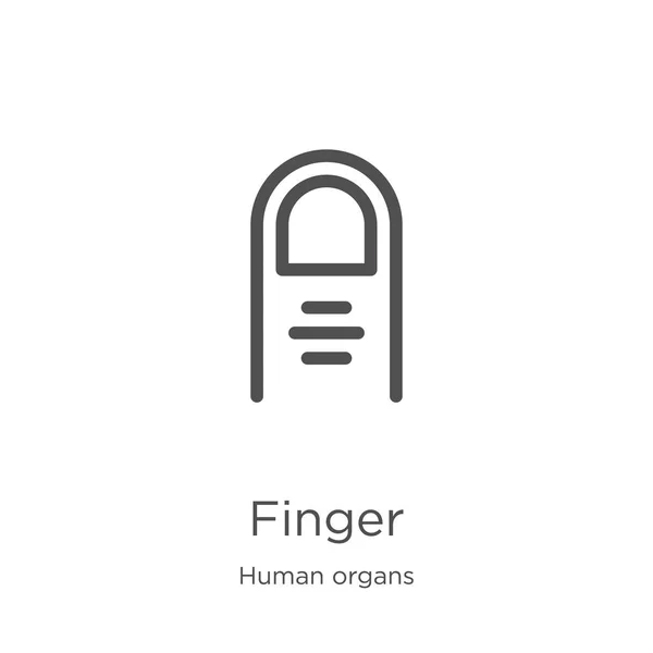 Finger ikon vektor från mänskliga organ samling. Tunn linje finger kontur ikon vektor illustration. Kontur, tunn linje finger ikon för webbdesign och mobil, App utveckling. — Stock vektor