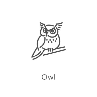 baykuş koleksiyonundan baykuş simgesi vektör. İnce çizgi baykuş anahat simgesi vektör illüstrasyon. Anahat, web sitesi tasarımı ve mobil için ince çizgi baykuş simgesi, uygulama geliştirme.