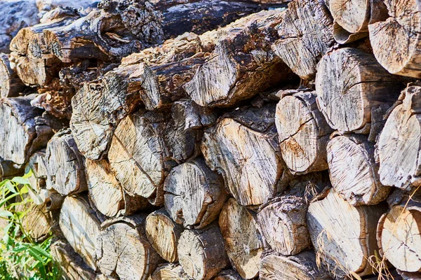 Pilha Madeira Picada Troncos Deitados Uma Pilha Dia Ensolarado — Fotografia de Stock