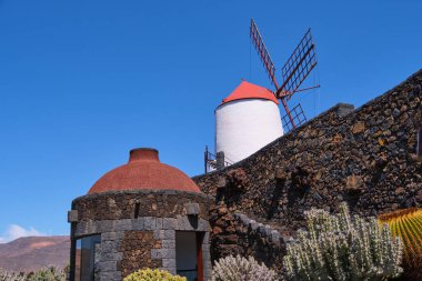 Onun yel değirmeni ile kaktüs bahçesi görünümü, Guatiza jardin de kaktüs, Lanzarote, Kanarya Adaları, İspanya