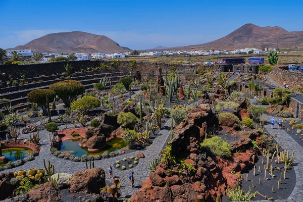 Guatiza kaktüs bahçesi, Lanzarote — Stok fotoğraf