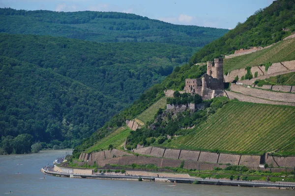 Castelo Ehrenfels Burg Ehrenfels Rio Reno Perto Ruedesheim Bingen Rhein — Fotografia de Stock