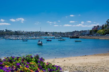 Camaret-sur-Mer limanına manzaralı şehir manzarası, Brittany, Fransa