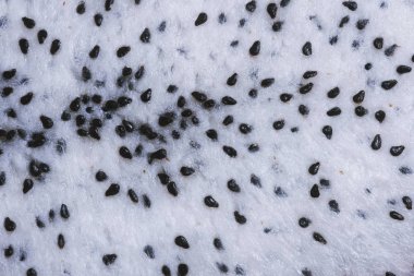 resim arka plan olarak bir ejderha meyve makro