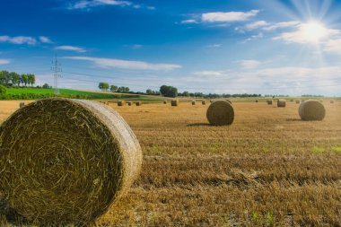 Yazın sonunda ağaçlar, mavi gökyüzü ve parlayan güneşle birlikte tarlalarda saman balyaları.