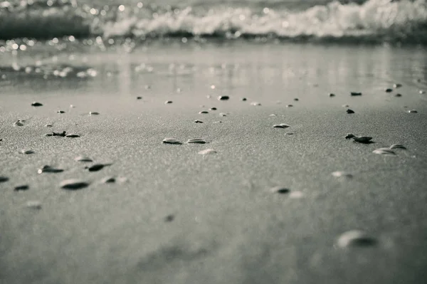 Foto de praia embaçada preto e branco como fundo de imagem — Fotografia de Stock